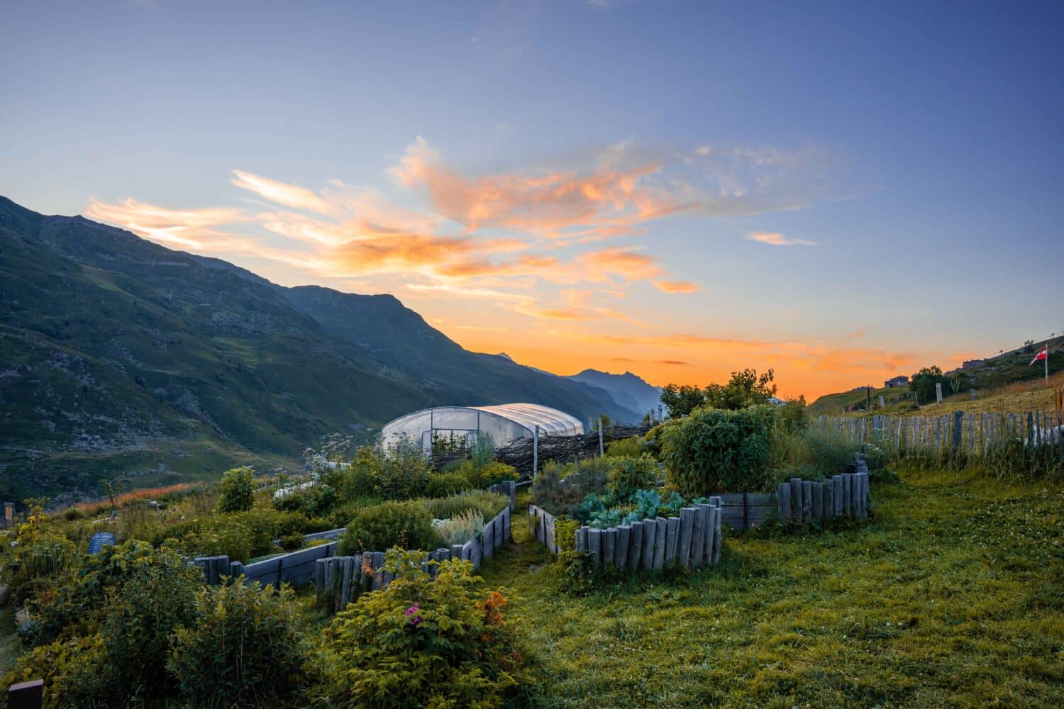 Du jardin à l’alpage : les produits de Chez Pépé Nicolas au Montagnard