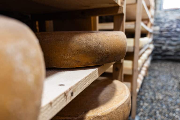 Meules de fromage, Meule des Belleville, artisanal en cours d'affinage sur des étagères en bois dans une cave traditionnelle