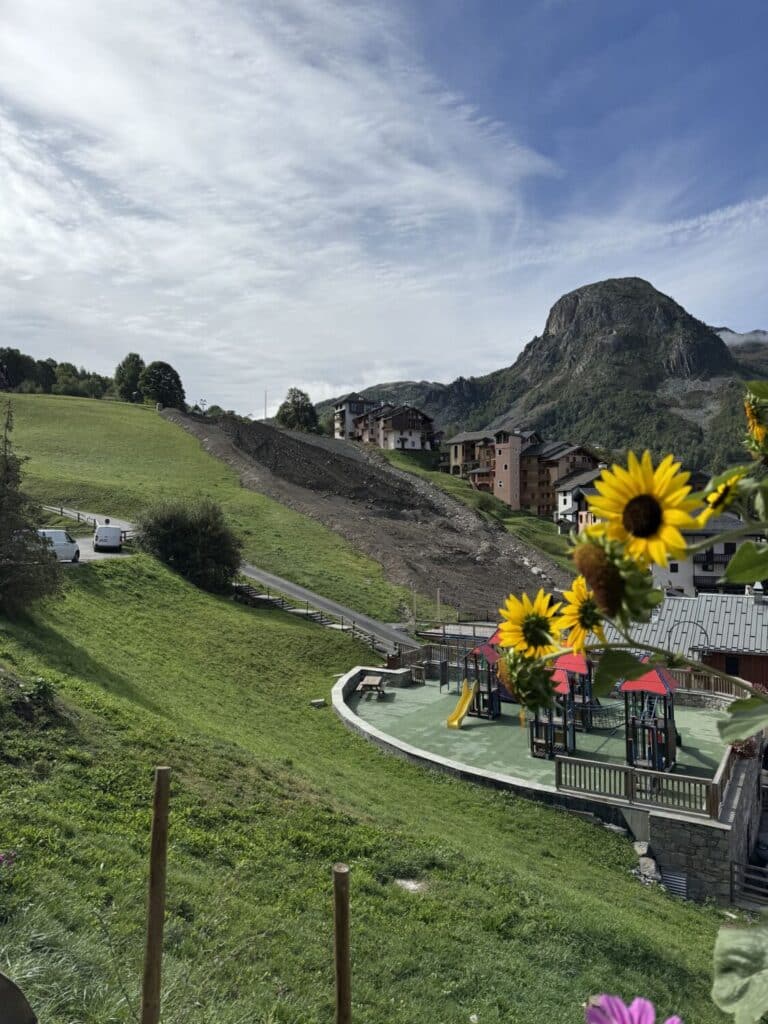 Tournesols en terrasse du restaurant Le Montagnard avec vue sur les travaux de terrassement et d'aménagement de la piste à Saint-Martin-de-Belleville